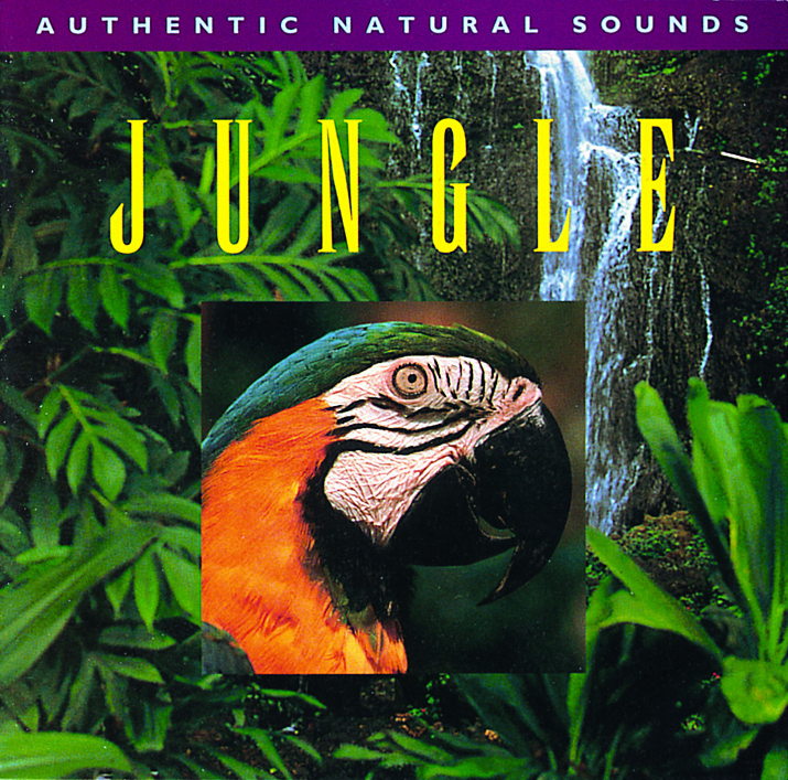 CD280 Jungle - New World Music