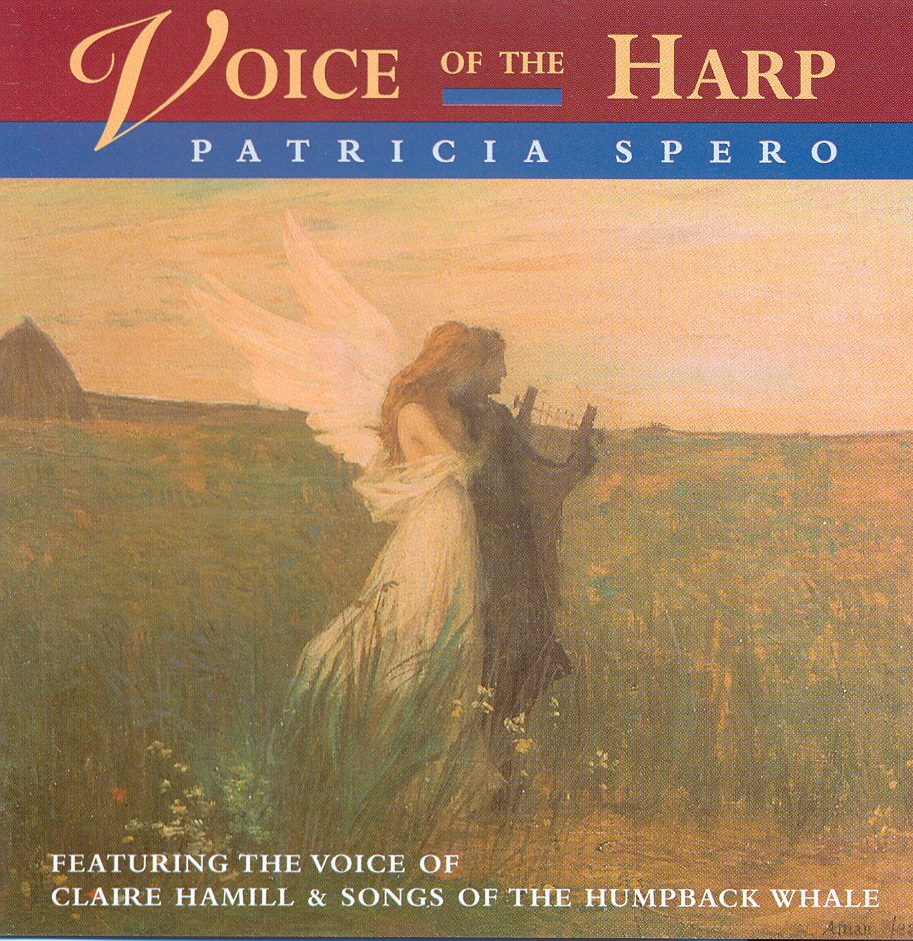 Harp deals the voice