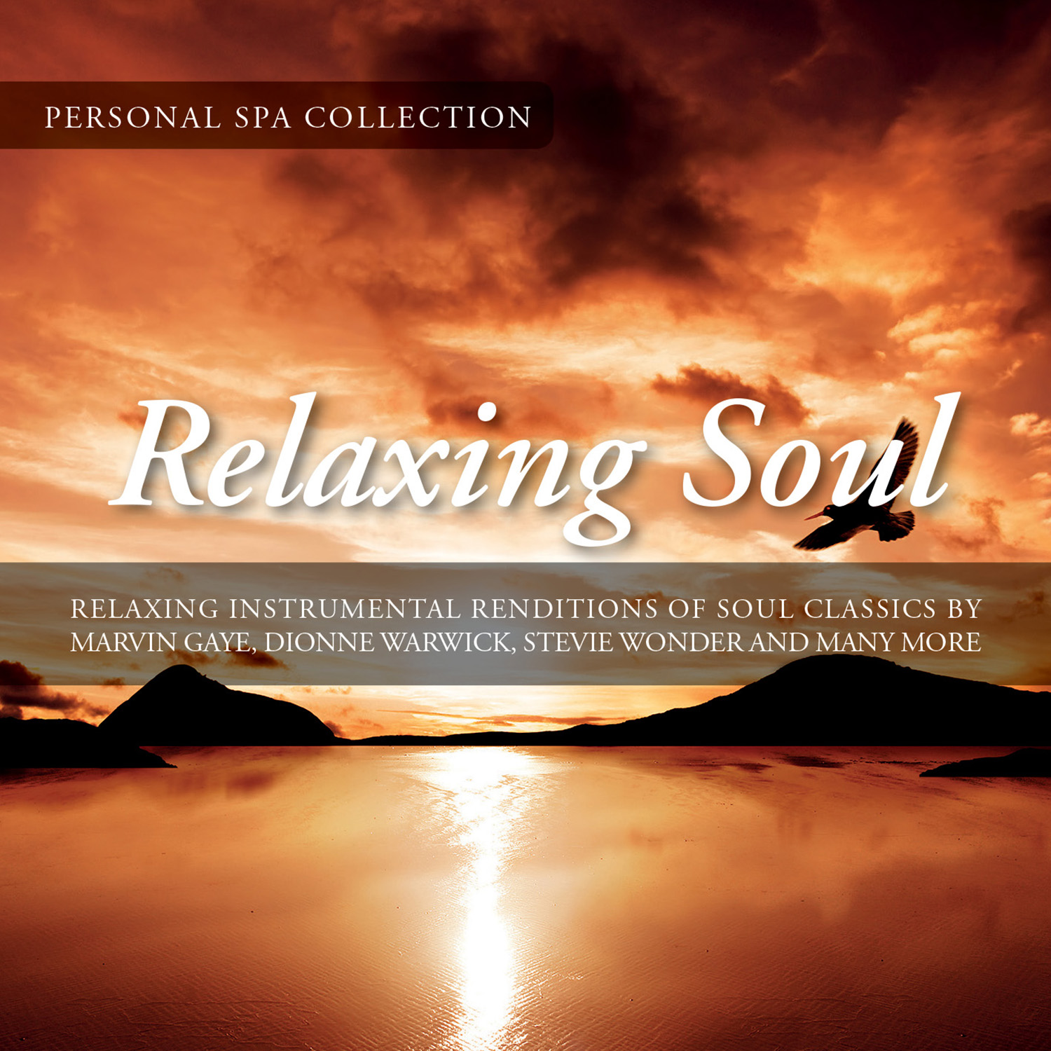 CD727 Relaxing Soul - New World Music